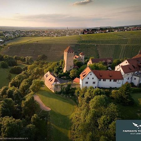Neues Zimmerapartment Mit Bad Neckarwestheim Экстерьер фото